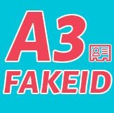 fake ids
